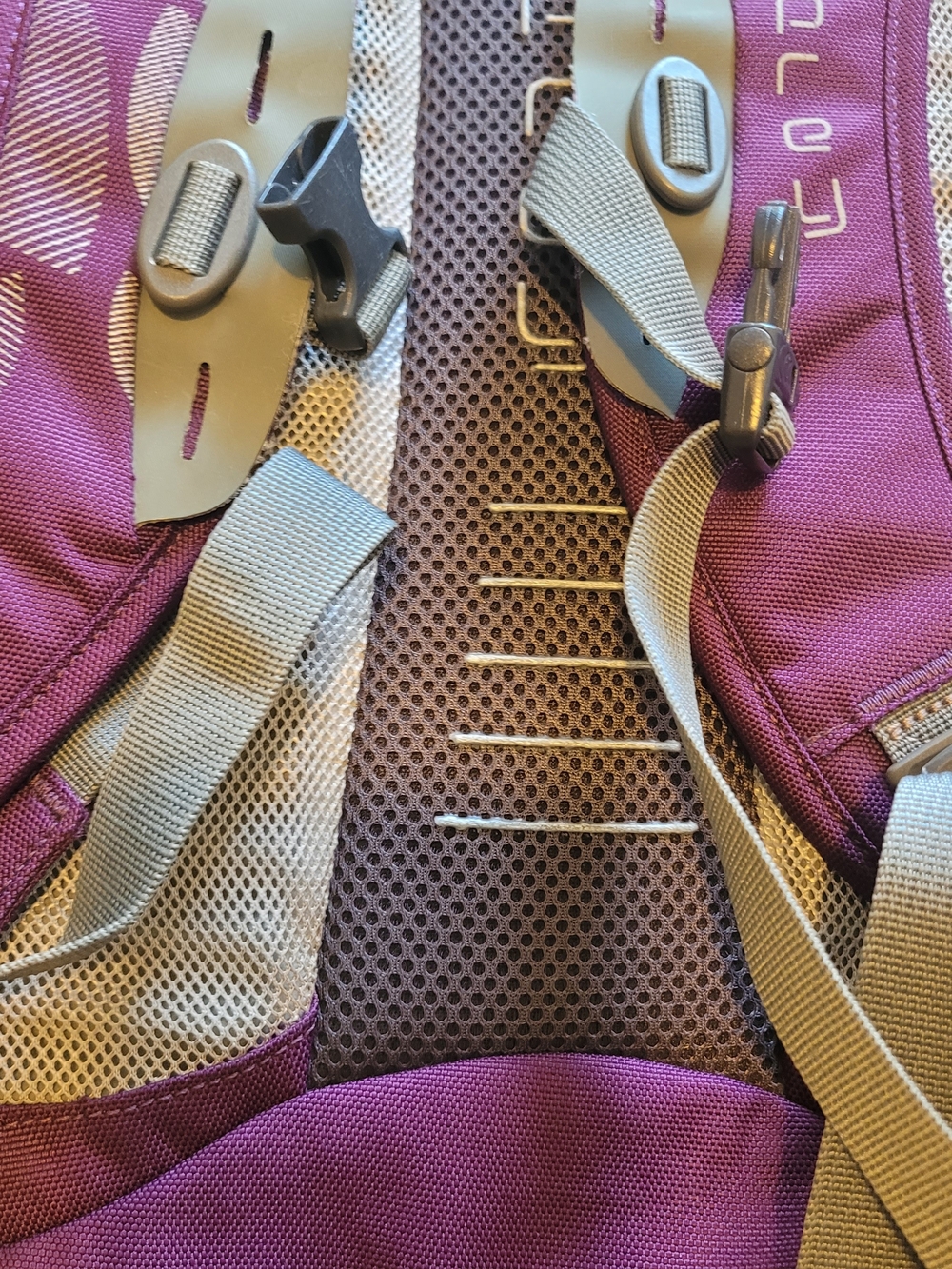 OSPREY Flap Jill Women's Purple Backpack with Teal Accents 20ltr Daybag Laptop - Picture 10 of 12